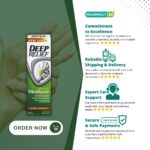 Deep Relief Menthacin Arthritis Relief Dual Action Rub - Fast Delivery