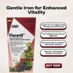 Shop Now Salus Floravit Liquid Iron